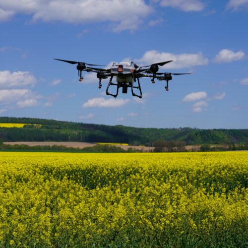 Dron rolniczy DJI Agras T10